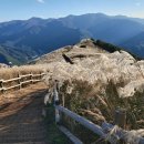 天地人행정사 이미지