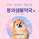 샘물약국 이미지