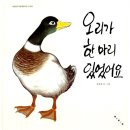 오리한마리 이미지