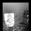 빛과 사진 이미지