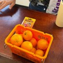 청두곶8길 36-8 | 제주여행 공항 근처 : 우진해장국 오렌지건 무상찻집 어머니빵집 두바이쫀득쿠키