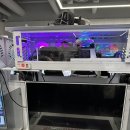 퍼니홀릭피시카페 이미지