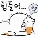 구조라방파제 이미지