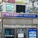 남해어시장 | 창원 진해 용원어시장 회센터 해산물 방어회 포장 가격 구입후기:: 13호 남해수산