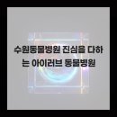 아이러브동물병원 | 수원동물병원 진심을 다하는 아이러브 동물병원