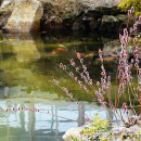 방림원 식물원 이미지