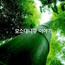 하양치과기공소 네이버블로그