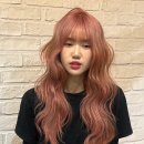 중앙헤어 - 전주시 완산구 노송여울1길 13 | 중앙헤어