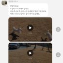텐빌멍하우스 네이버블로그