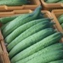 남종우농장 이미지