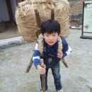 WR(서울특별시)-[양재대로]-하-55 | 같이 걷자 난 다 궁금해 S2