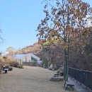 (온라인)카페디저트 이미지