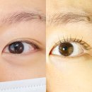 블랙센스 | 다산 속눈썹 펌 잘하는 곳 또렷한 블랙틴팅펌 다산 센스 후기