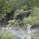 예인발레스튜디오 맞은편 | 경기 포천 마이애니멀스토리 in 평강랜드 솔직후기(입장료·먹이주기 체험·만족도)