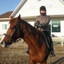 통도승마랜드 이미지