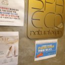 스파에코 옥수