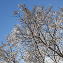 물안개마을협동조합 이미지