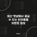 펫인샵