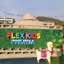 플렉스 키즈풀빌라 이미지
