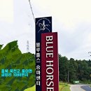 블루홀스 승마센터 이미지