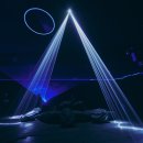 세련된초이스