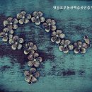 백송공인중개사 사무소 네이버블로그