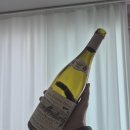 드다니엘(de Daniel) 이미지