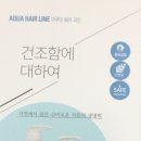 아쿠아헤어 이미지
