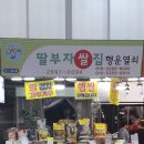 신영진열
