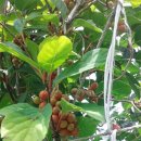 집보고땅보고공인중개사사무소 이미지