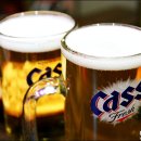 비어오크 이미지