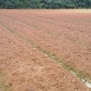 가서농장 이미지