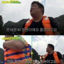 데이지 닮다 이미지