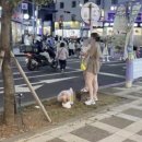 바글바글제주 이미지