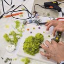 공기정화 스칸디아모스 만들기 | 학부모수업 공기정화 식물 스칸디아모스 액자 만들기 추천