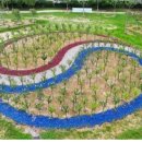 쌍암동산 이미지