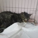 사하구 다산로 이미지