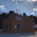 춘천미용상사 | 춘천 반려동물 스튜디오 도란도란 후기