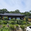 구미냉면 이미지