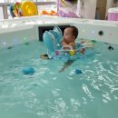 멤버쉽풀 이미지