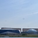 오로라핑크 이미지