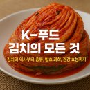(12/13) 배추김치 담그기 | K-푸드의 대표인 김치, 맛있게 담그기 팁과 김치의 종류
