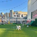 동남로29길 | 루프탑 애견운동장이 있는 송파 애견카페 방문기 &#39;카페 루&#39;