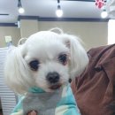 버스정류장 05-052 티스토리