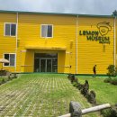 한촌농장 | 제주 이색 카페 레몬 농장 레몬뮤지엄