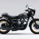 Kawasaki W800 Special Edition 이미지