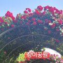 태능 Daum카페