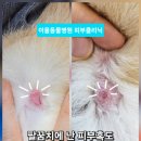 이을동물병원 이미지