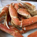 추암택지길 | 내돈내산! 러시아대게마을 방문 찐 후기