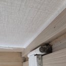 마스터클린 이미지